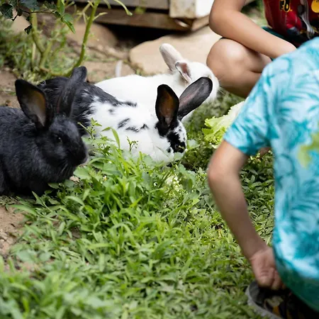 Smileys 4* Trebesing