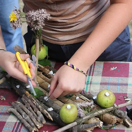 酒店 Smileys Trebesing