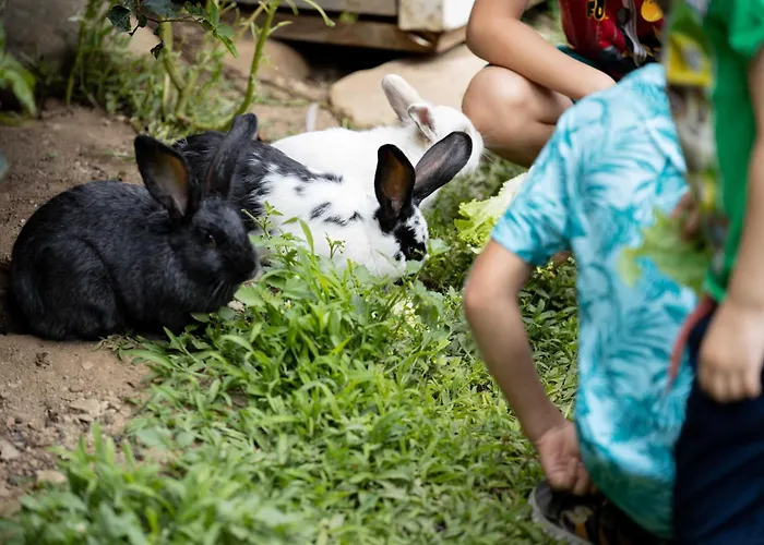 Smileys 4* Trebesing